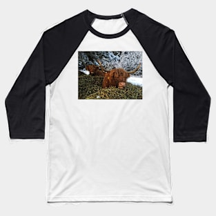 Scottish Highland Cattle Cows 2216 Baseball T-Shirt